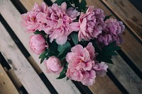 Pink peony background. Original public domain image from <a href="https://commons.wikimedia.org/wiki/File:Alisa_Anton_2016-04-18_(Unsplash).jpg" target="_blank">Wikimedia Commons</a>
