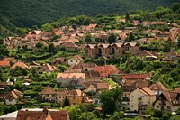 Village houses built up the slope of a forested hill. Original public domain image from Wikimedia Commons