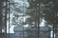 Snowflakes falling in the foreground with tall trees and a house out of focus in the background. Original public domain image from <a href="https://commons.wikimedia.org/wiki/File:Falling_snow_(Unsplash).jpg" target="_blank" rel="noopener noreferrer nofollow">Wikimedia Commons</a>