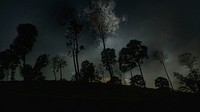 Dark forest under a cloudy night sky.<br /><br />Original public domain image from <a href="https://commons.wikimedia.org/wiki/File:Amal_roshan_george_2016_(Unsplash).jpg" target="_blank">Wikimedia Commons</a>