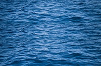 Sea wave texture, blue ocean. Original public domain image from <a href="https://commons.wikimedia.org/wiki/File:Sea_wave_abstract_texture_(Unsplash).jpg" target="_blank">Wikimedia Commons</a>