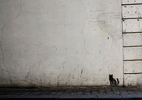 Textured, grungy white wall with mini black cat graffiti artwork in Kilkenny. Original public domain image from Wikimedia Commons