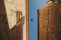 Bird is flying above the sky. Original public domain image from <a href="https://commons.wikimedia.org/wiki/File:Toledo,_Spain_(Unsplash_y-cqIXfbtbo).jpg" target="_blank">Wikimedia Commons</a>