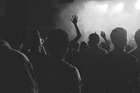 A crowd at a concert. Original public domain image from <a href="https://commons.wikimedia.org/wiki/File:Concert_crowd_(Unsplash).jpg" target="_blank" rel="noopener noreferrer nofollow">Wikimedia Commons</a>