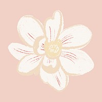 Magnolia white flower sticker psd hand drawn illustration