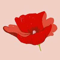 Poppy red flower sticker psd hand drawn illustration