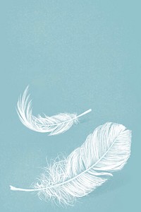 Hand drawn white feather vector on blue background