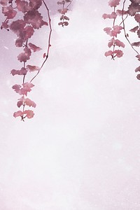 Aesthetic leaves on pink background