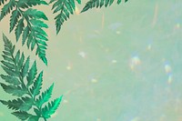 Aesthetic green leaves banner background