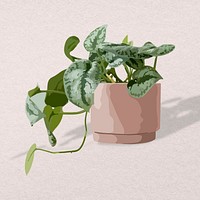 Plant psd image, pothos potted home interior decoration