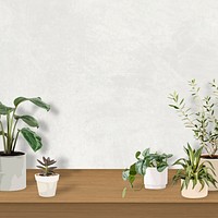 Indoor plant background tropical vector with blank wall