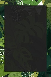 Monstera frame vector tropical leaf botanical illustration