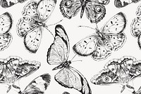 Vintage butterfly pattern background, black and white design