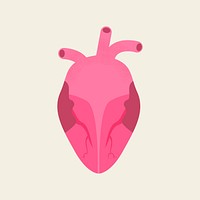 Human heart collage element, organ donation psd