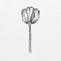 Vintage tulip flower tattoo art, black botanical illustration vector