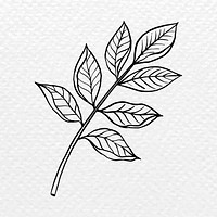 Black leaf clipart, vintage botanical illustration