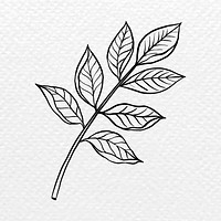 Black leaf sticker, vintage botanical illustration psd