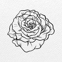 Vintage rose flower tattoo art, black botanical illustration psd