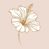 Hibiscus flower sticker, brown vintage botanical illustration vector