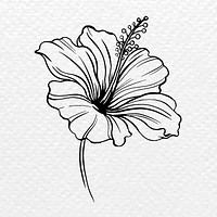 Vintage hibiscus flower tattoo art, black botanical illustration vector