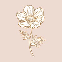 Anemone flower collage element, brown botanical clipart psd