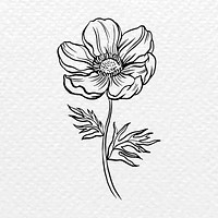 Anemone flower collage element, black botanical clipart vector