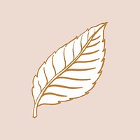 Rose&rsquo;s leaf tattoo art, brown vintage nature clipart