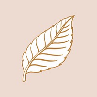 Rose&rsquo;s leaf tattoo art, brown vintage nature sticker vector