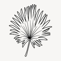 Fan palm leaf doodle clipart, cute black & white illustration psd