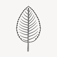 Leaf doodle clipart, cute black & white illustration psd