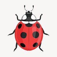 Ladybug clipart, cute cartoon illustration psd