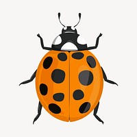 Ladybug clipart, cute cartoon illustration psd