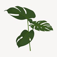 Monstera leaf collage element, cute cartoon illustration vector