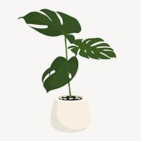 Monstera clipart, cute cartoon illustration psd