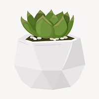 Succulent clipart, cute cartoon illustration psd