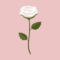 White rose collage element, cute cartoon illustration vector