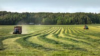 Silage windrows in a field in Brastad, Lysekil Municipality, Sweden. Two tractors are gathering the silage and transporting it to the farm on the other side of the road. Original public domain image from Wikimedia Commons