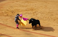 Bullfight in Seville, Spain. Original public domain image from Wikimedia Commons