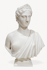 Diana Bust statue,  Greek  sculpture isolated image on white background