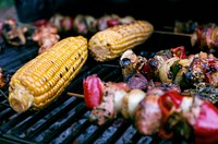Kebabs On Grill. Original public domain image from Wikimedia Commons