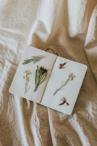 Open notebook and flowers on linen blanket