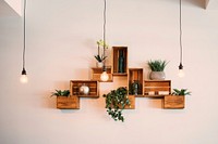 Free rustic shelves lights image, public domain design CC0 photo.