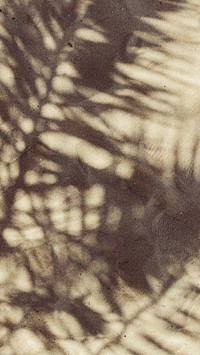 Leaf shadow phone wallpaper, HD image