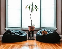 An orange cat lounges on a bean bag chair in a cozy living room, beside a plant.