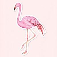 Vintage pink flamingo bird psd illustration sticker