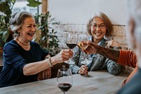 Senior friends cheers with wine glasses 