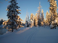 Buffalo ski trail at sunset. Original public domain image from Flickr