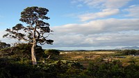 Ruakaka landscape. NZ.Ruakaka is a small township in the north of New Zealand approximately 30 kilometres south of Whangarei in the Bream Bay area. Original public domain image from Flickr