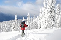 Snowshoeing winter Hurrican ridge people. Original public domain image from Flickr