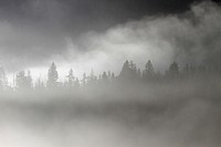 Fog at Pebble CreekTrees silhouetted in morning fog at Pebble Creek by Jim Peaco. Original public domain image from Flickr